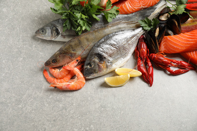 Photo of Fresh raw fish and different seafood on light grey table. Space for text