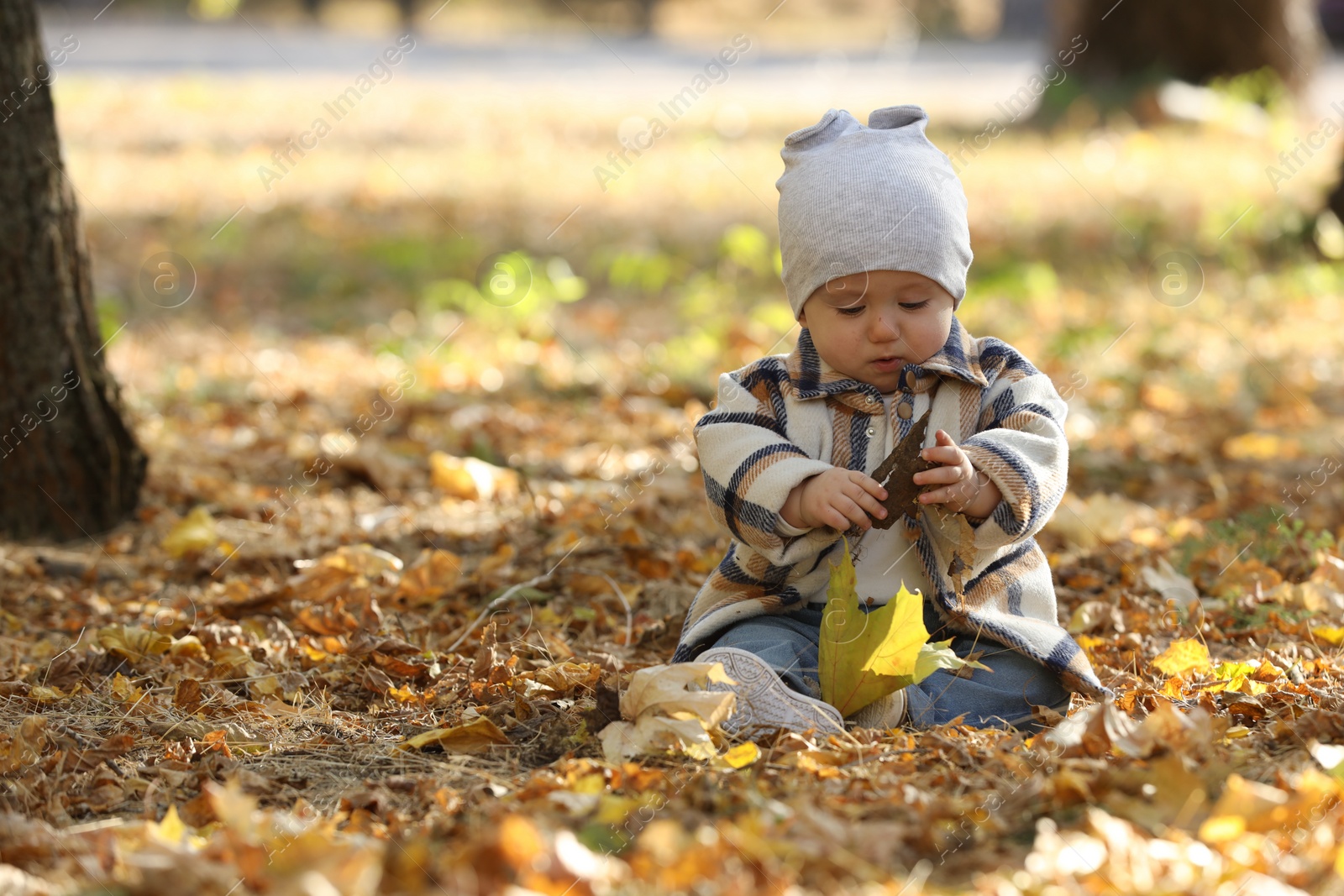 Photo of Cute little child on ground with dry leaves in autumn park, space for text