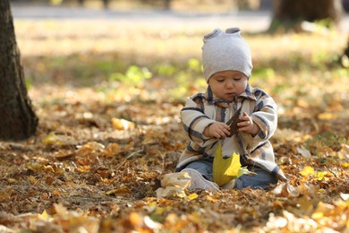 Cute little child on ground with dry leaves in autumn park, space for text