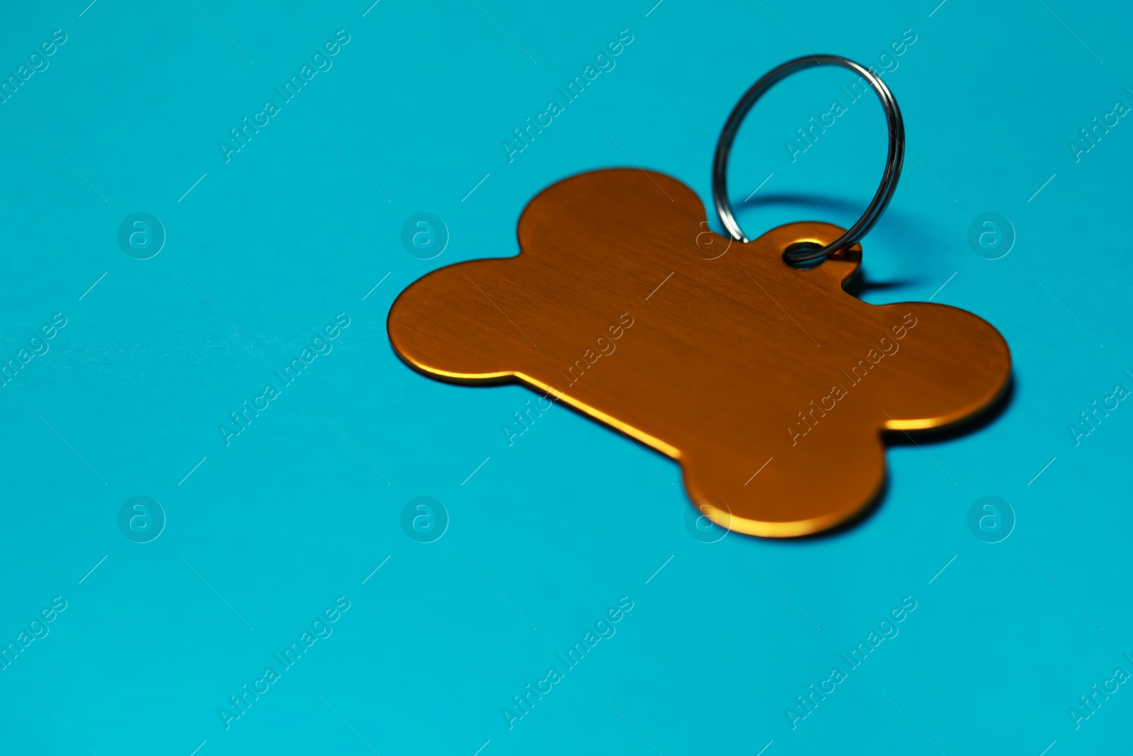 Photo of Golden pet tag in shape of bone with ring on light blue background, closeup. Space for text