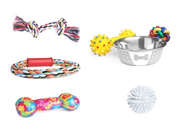 Image of Set with feeding bowl and different toys for pet on white background