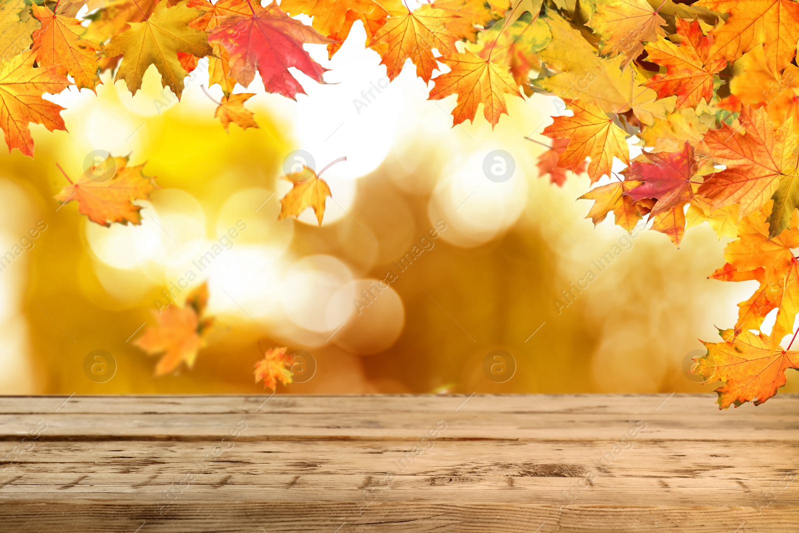 Image of Empty wooden surface and beautiful autumn leaves on blurred background 