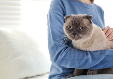 Young woman with cute cat at home, closeup. Fluffy pet