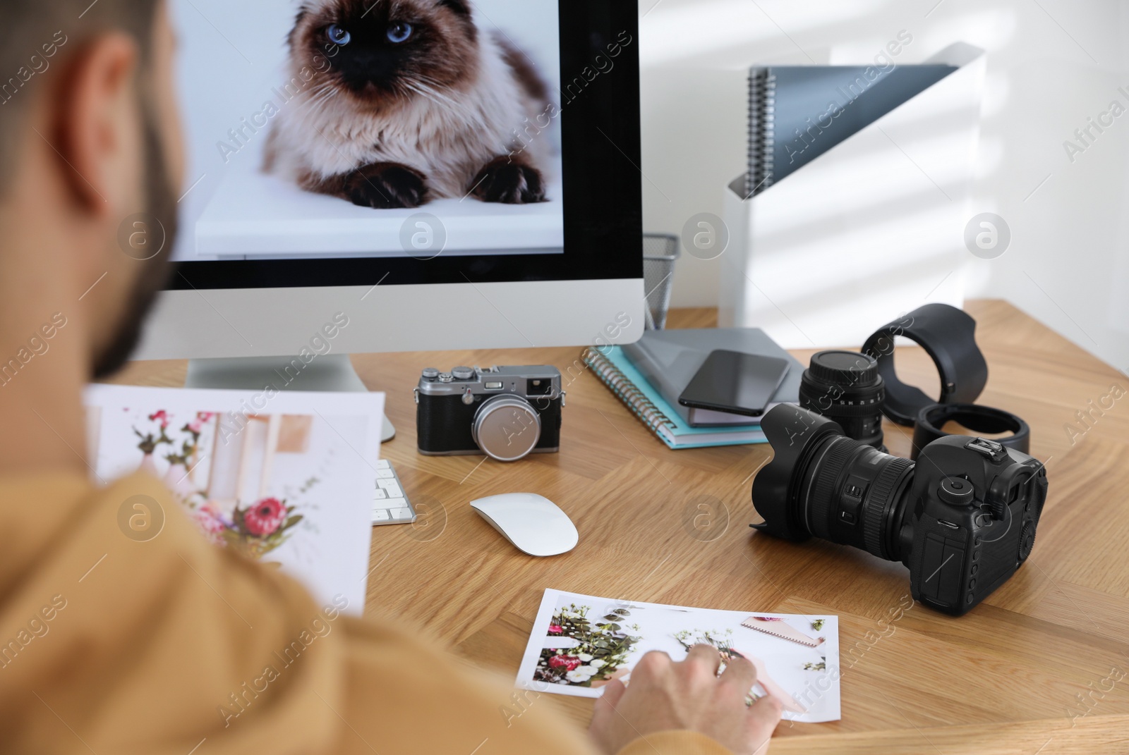 Photo of Professional photographer working at table in office, closeup