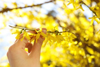 Photo of Woman touching branch of beautiful blooming shrub outdoors on sunny day, closeup