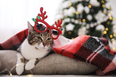 Photo of Cute cat wearing Christmas eyeglasses covered with plaid in room