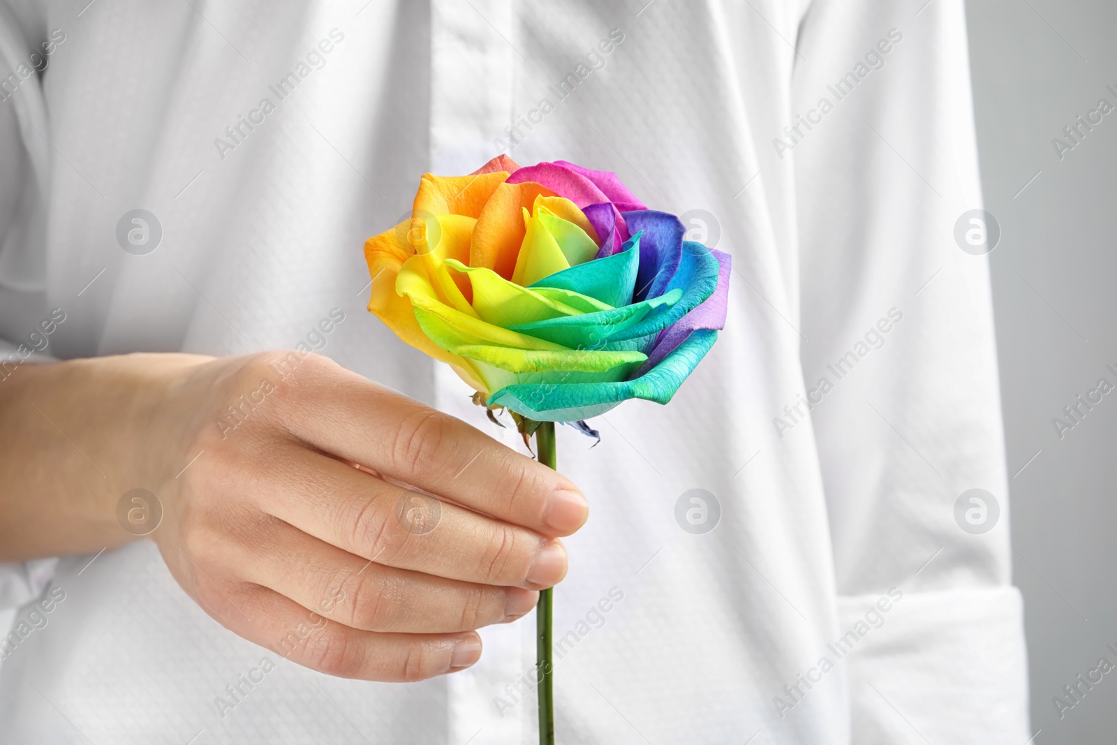 Photo of Woman holding rainbow rose flower, closeup