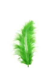 Photo of Fluffy beautiful green feather isolated on white