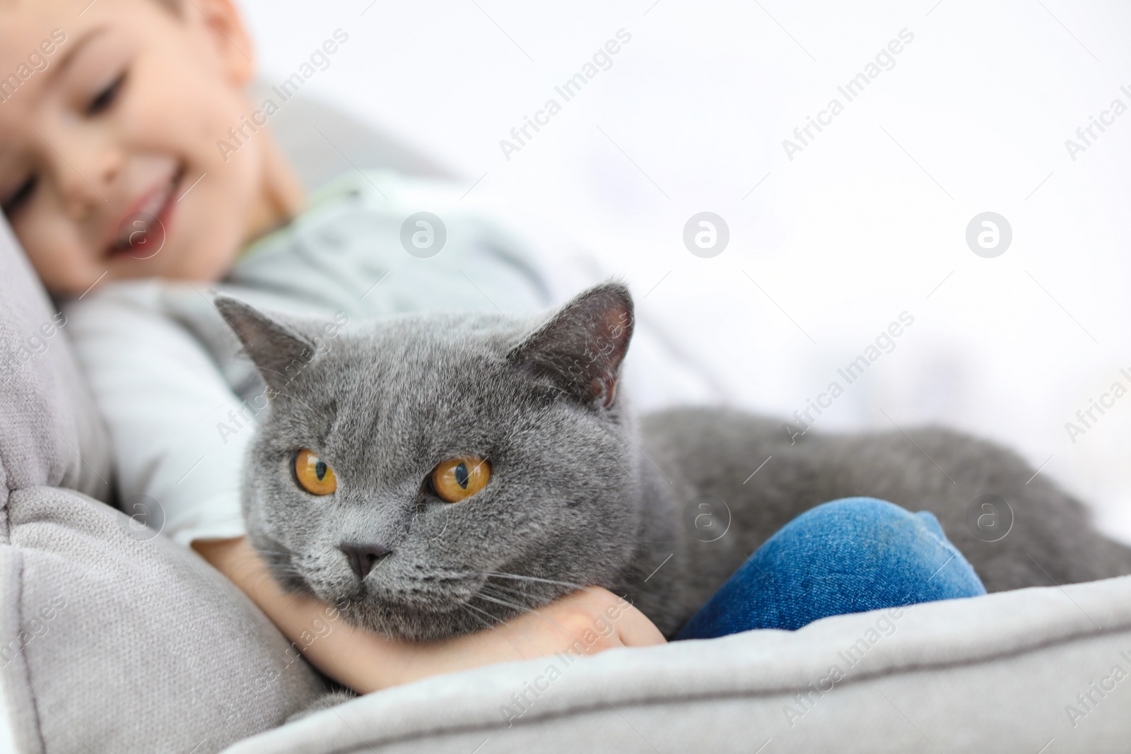 Photo of Cute cat with little child at home