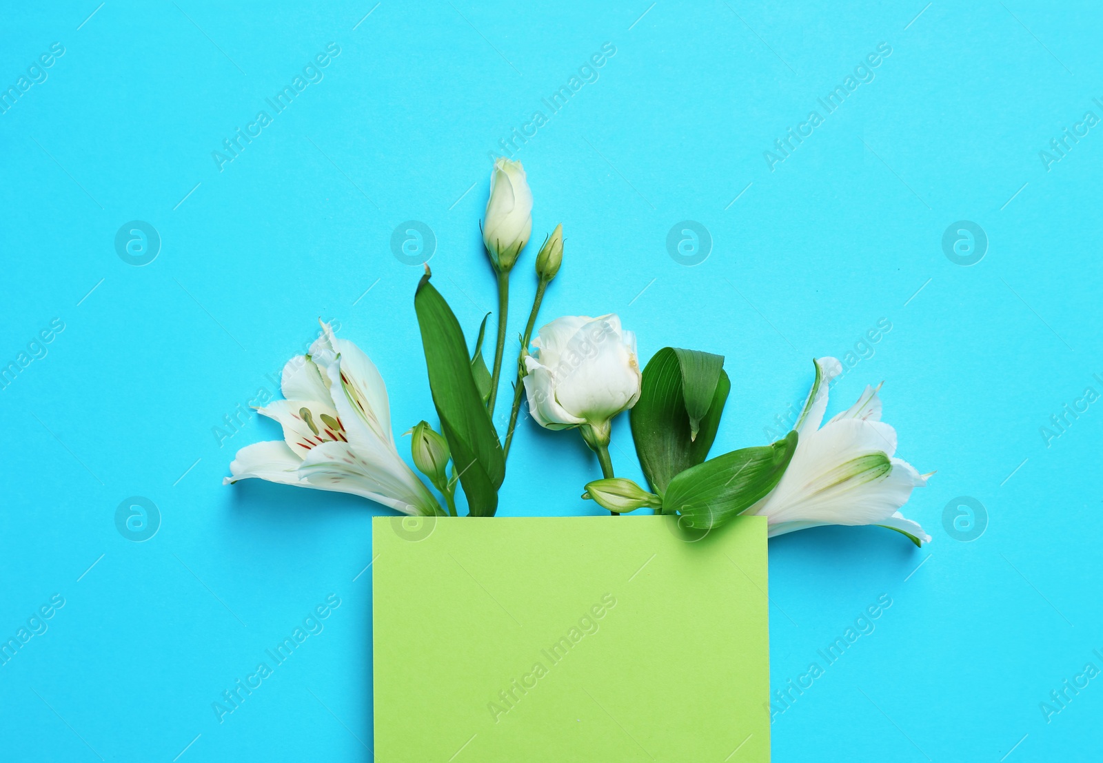 Photo of Empty greeting card with flowers on color background, top view. Space for text