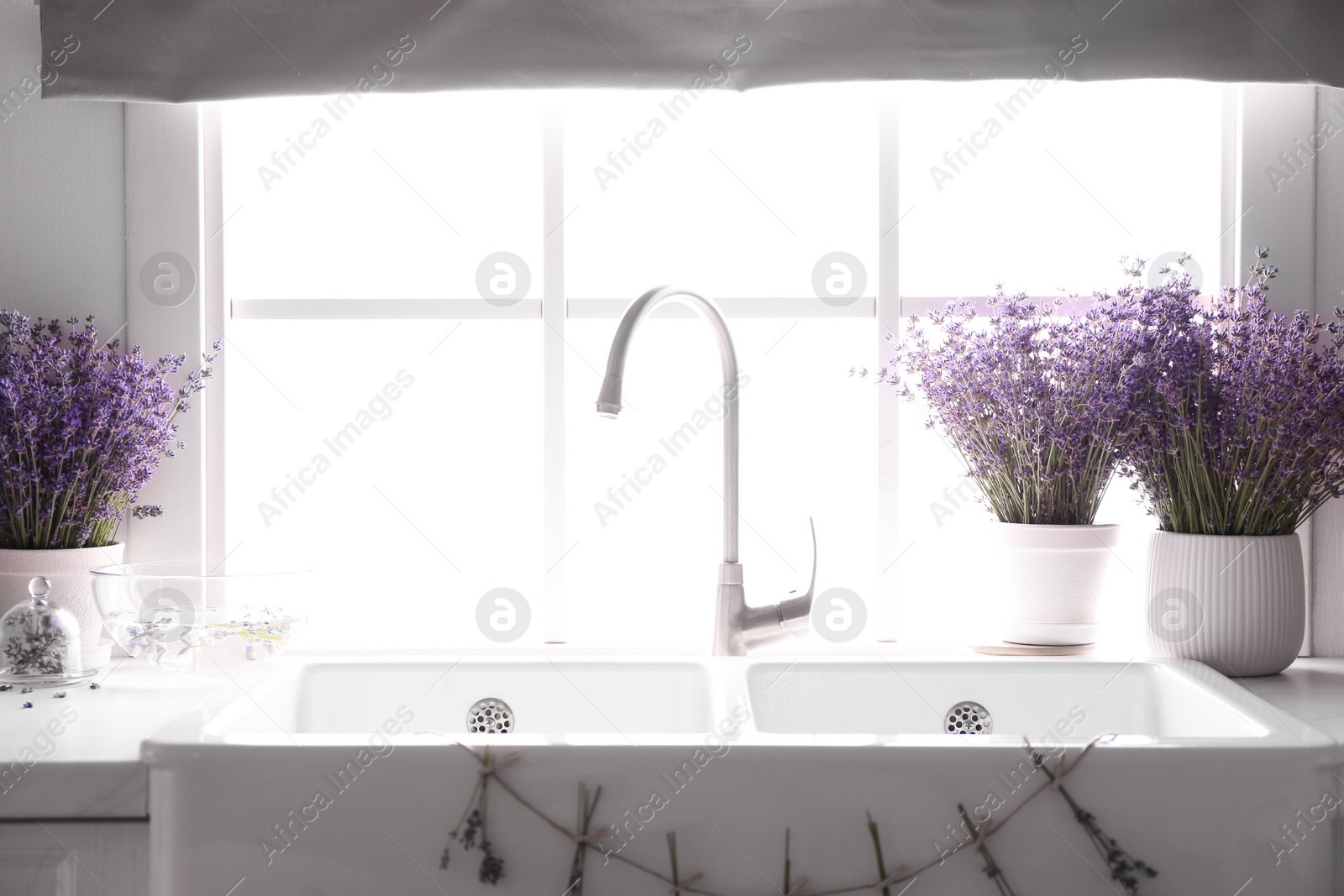 Photo of Beautiful lavender flowers on countertop near sink in kitchen