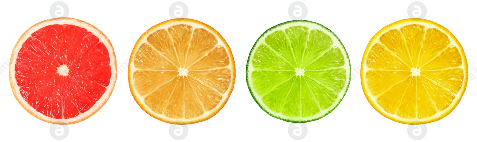 Image of Set of different citrus slices on white background, top view. Banner design