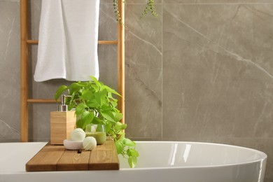 Photo of White tub with plant, soap dispenser and bath bombs in bathroom, space for text. Interior design