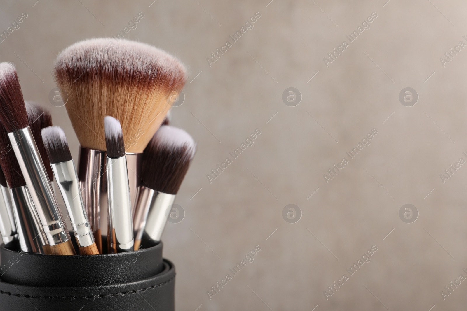Photo of Set of professional makeup brushes on light grey background, closeup. Space for text