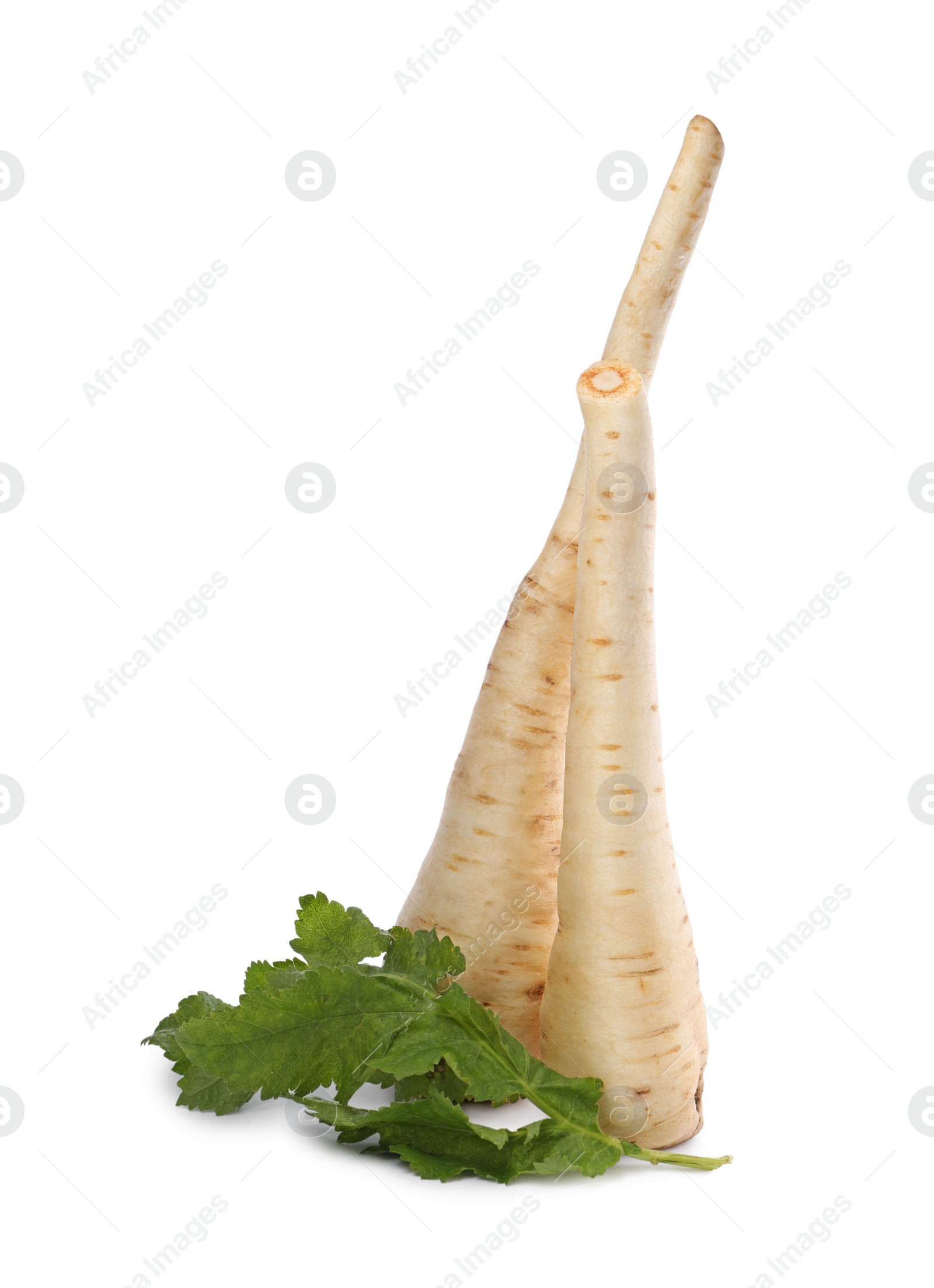 Photo of Whole fresh ripe parsnip with leaves on white background