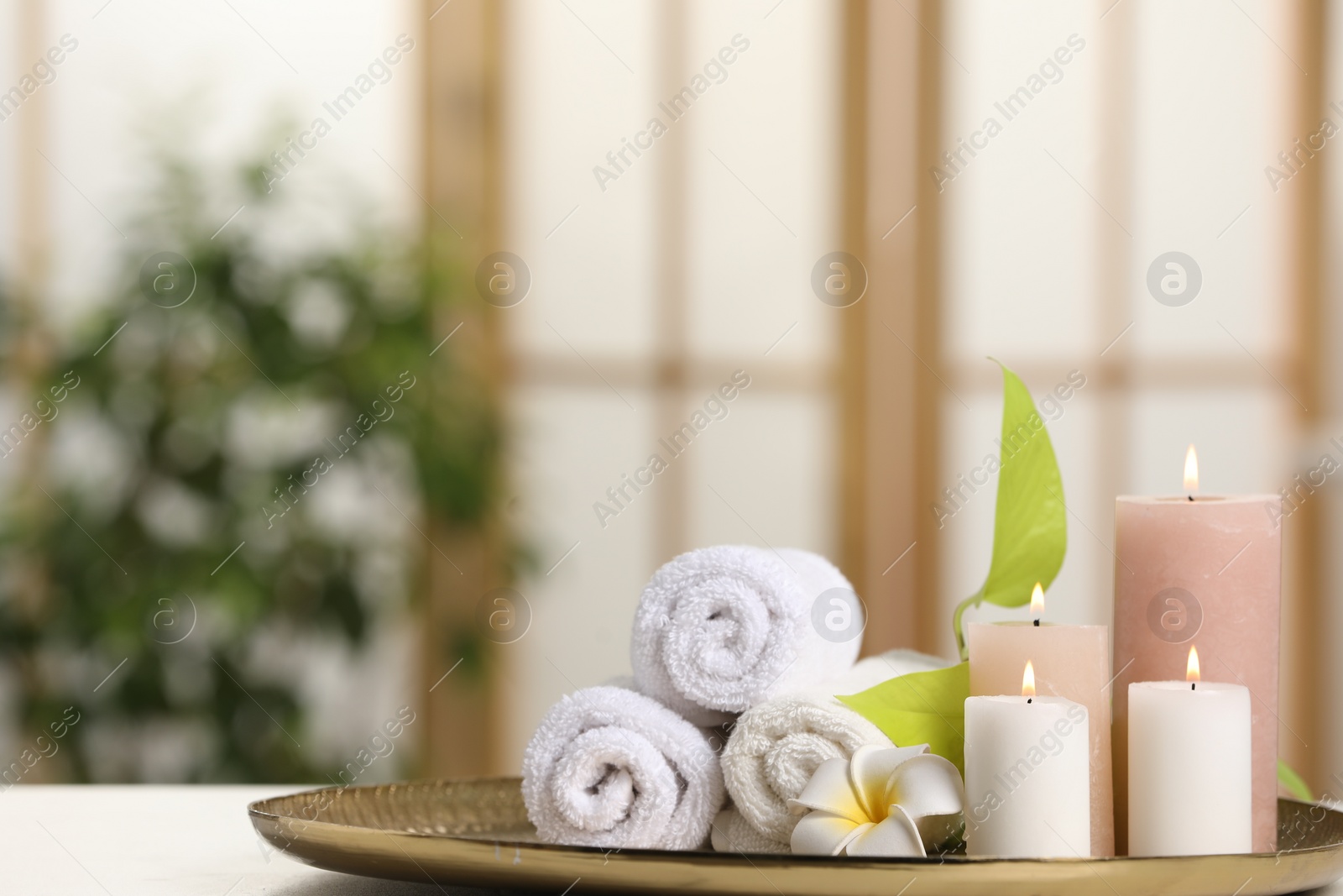 Photo of Spa composition. Burning candles, plumeria flower, green leaves and towels on white table indoors, space for text