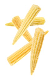 Tasty baby corn cobs flying on white background