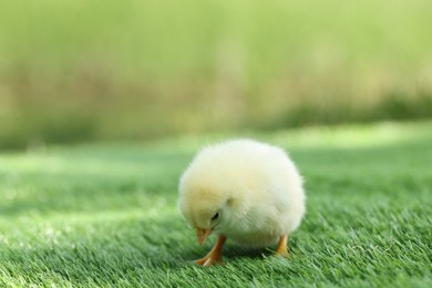 Photo of Cute chick on green artificial grass outdoors, closeup. Baby animal