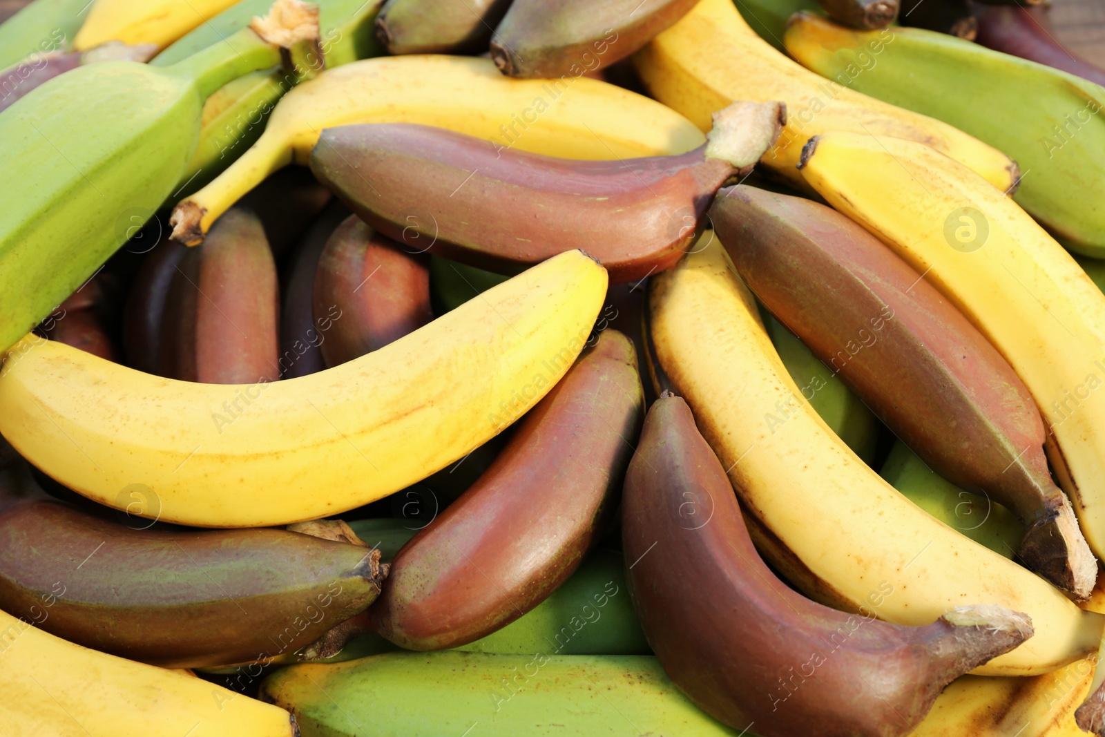 Photo of Different types of bananas as background, top view