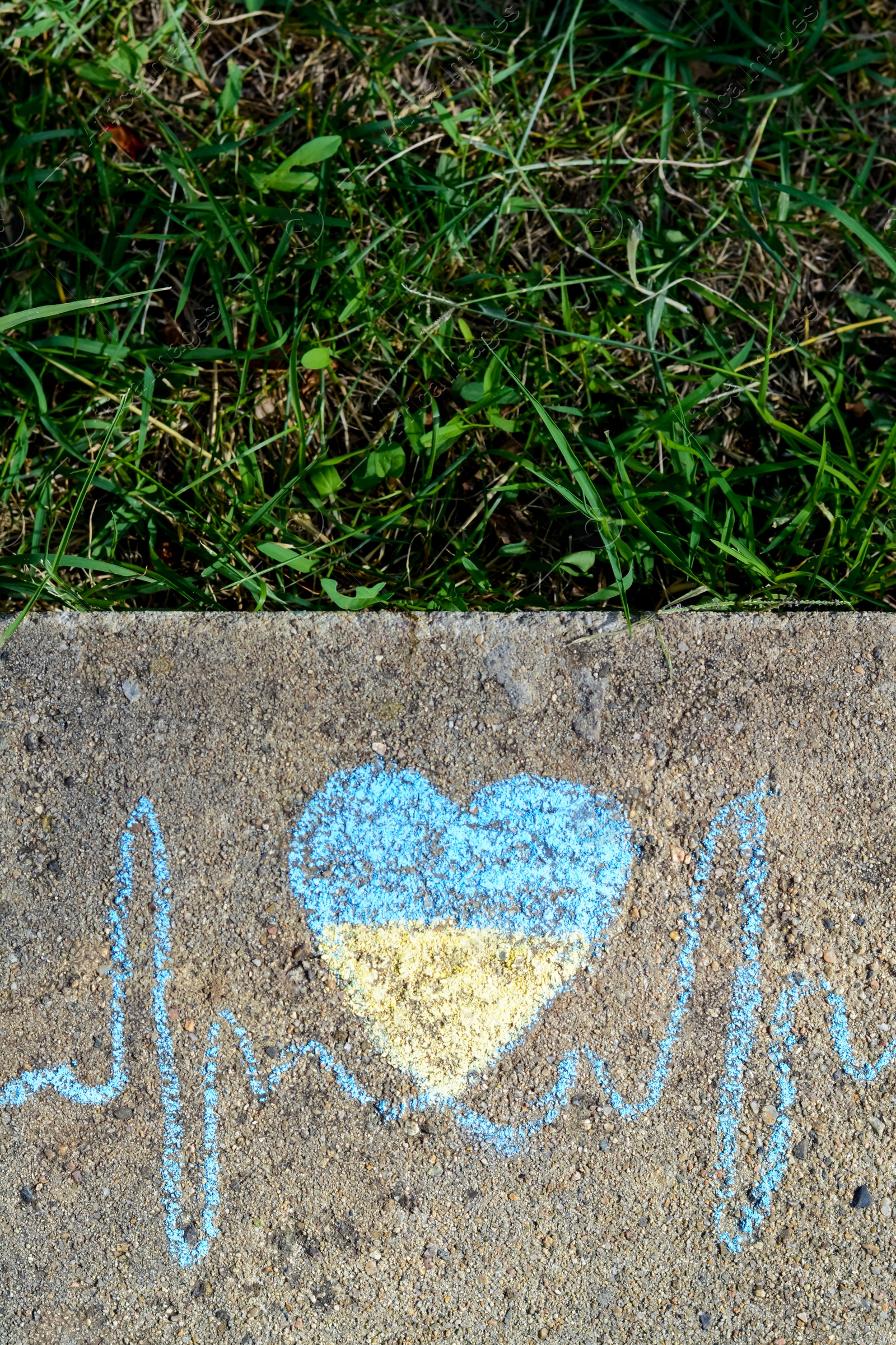 Photo of Cardiogram line with heart drawn by blue and yellow chalk on asphalt near green grass, top view