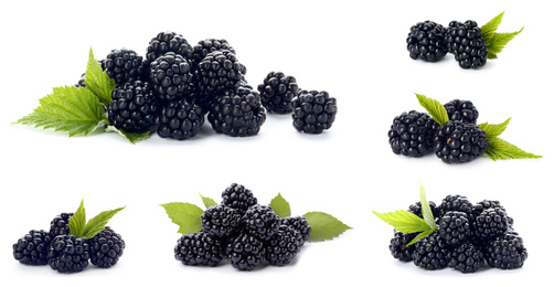 Image of Set of ripe blackberries on white background. Banner design