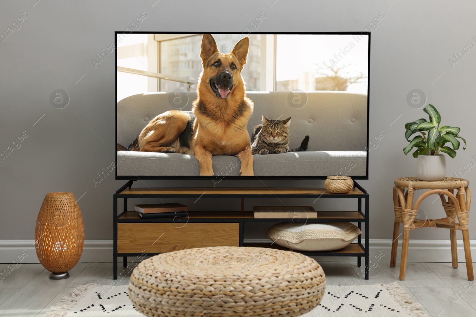 Image of Modern TV set on wooden stand in room. Scene of nature themed movie on screen