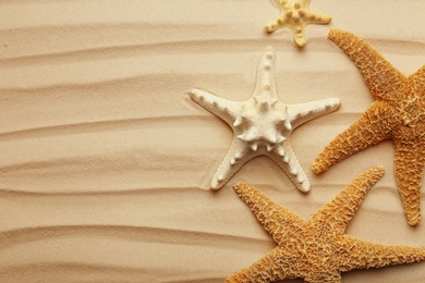 Photo of Starfishes on beach sand, top view. Space for text