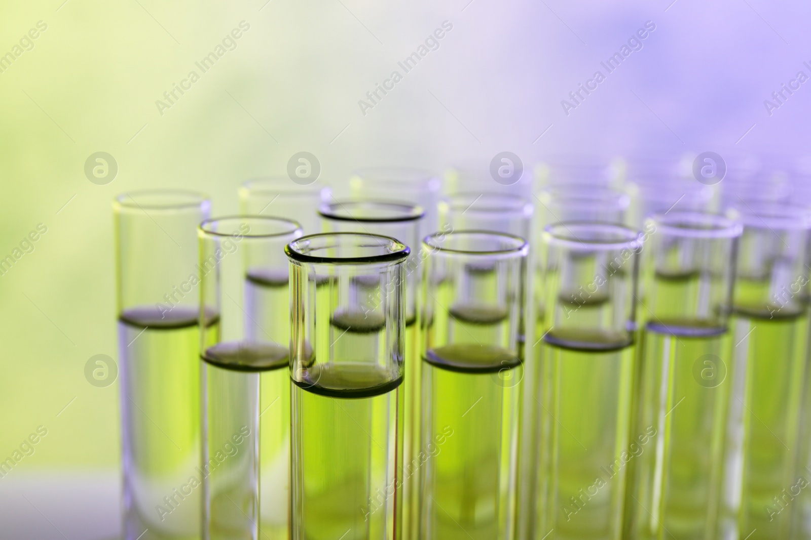 Photo of Closeup view of many test tubes with liquid, color tone effect