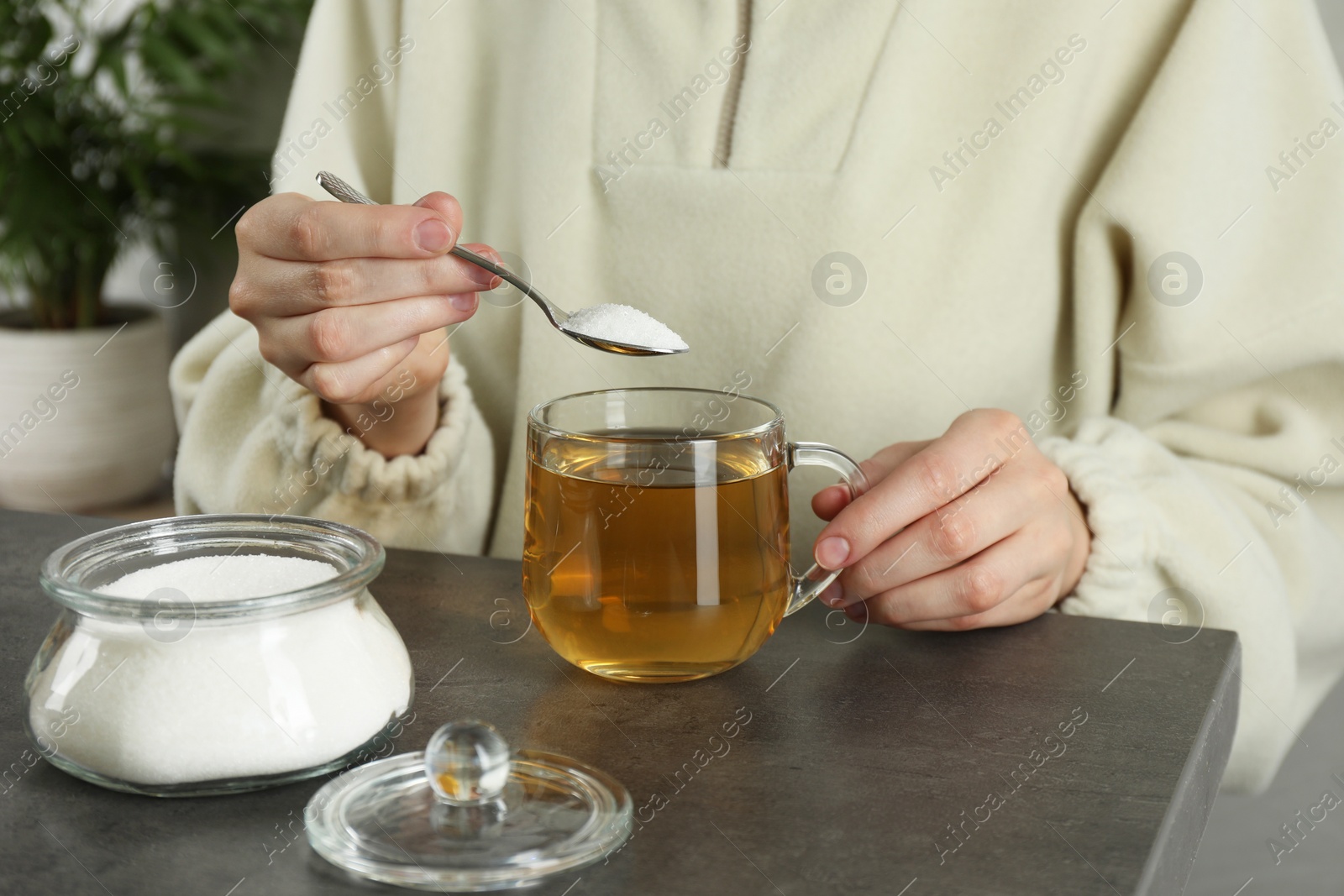 Photo of Woman adding sugar into aromatic tea at grey table, closeup