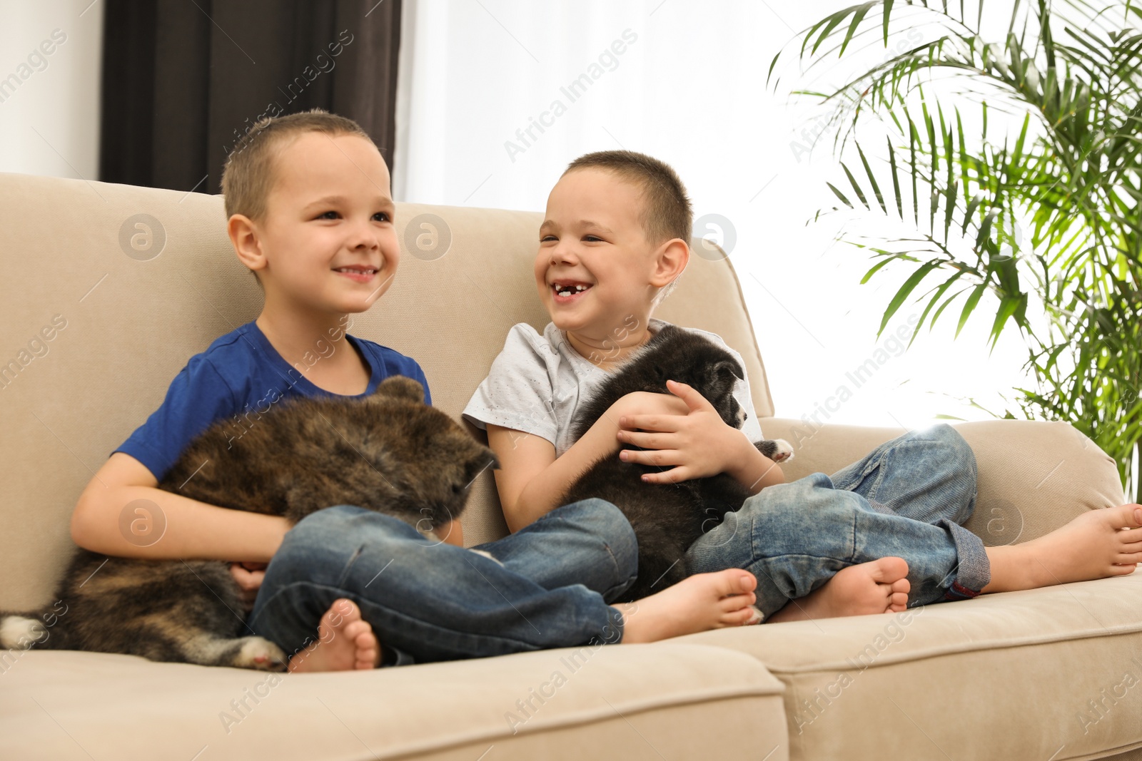 Photo of Little boys with Akita inu puppies on sofa at home. Friendly dogs