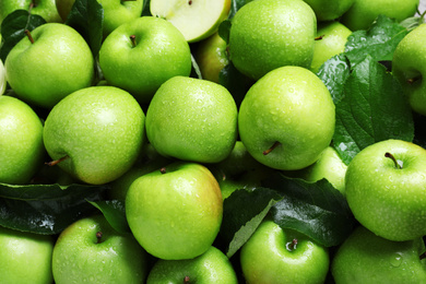 Pile of wet green apples with leaves as background, closeup