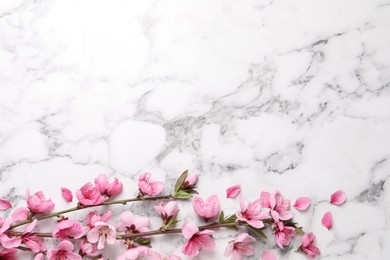 Beautiful sakura tree blossoms on white marble background, flat lay. Space for text