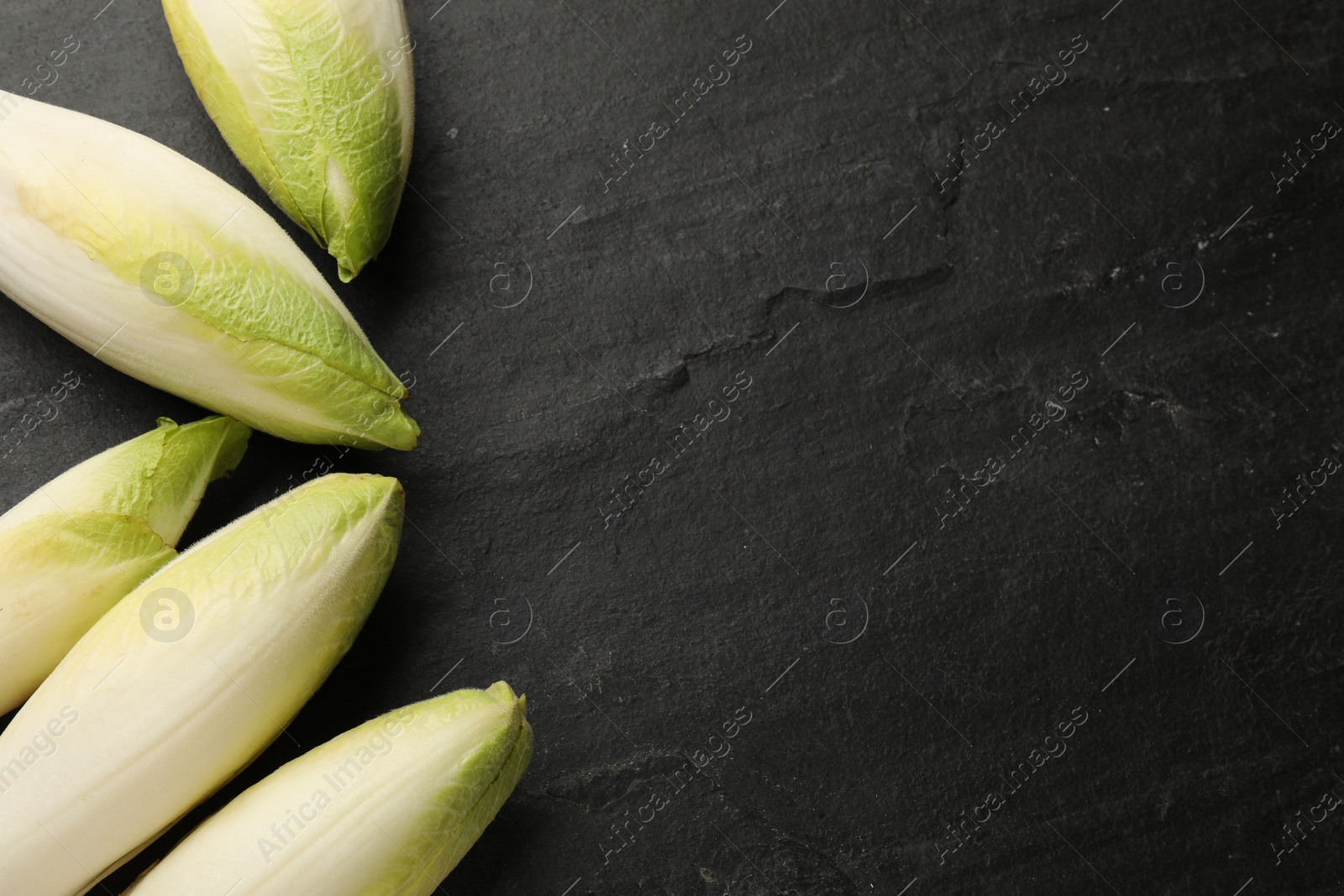 Photo of Fresh raw Belgian endives (chicory) on black table, top view. Space for text