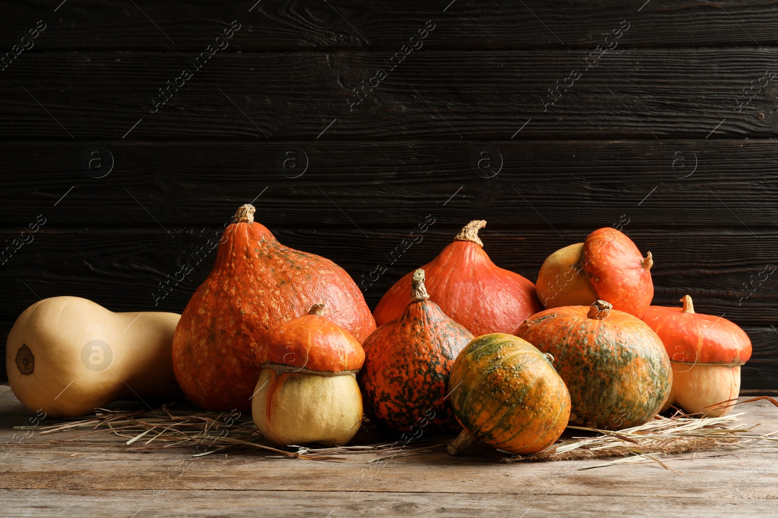 Photo of Different pumpkins on table against wooden wall. Autumn holidays