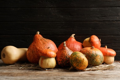 Different pumpkins on table against wooden wall. Autumn holidays