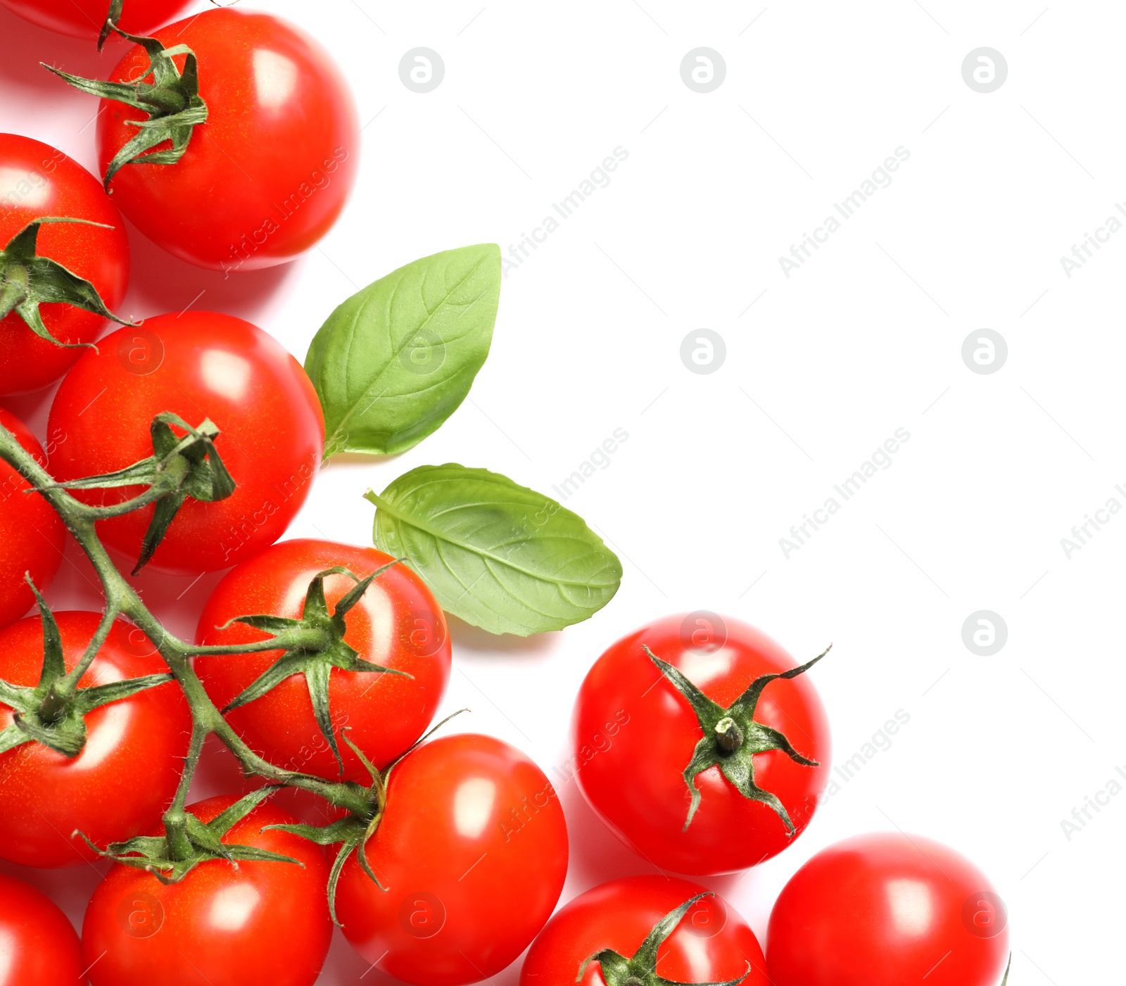 Photo of Composition with ripe cherry tomatoes and basil leaves on white background, top view