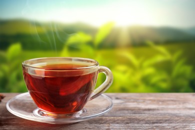 Cup of hot freshly brewed rooibos tea on wooden table outdoors. Space for text 