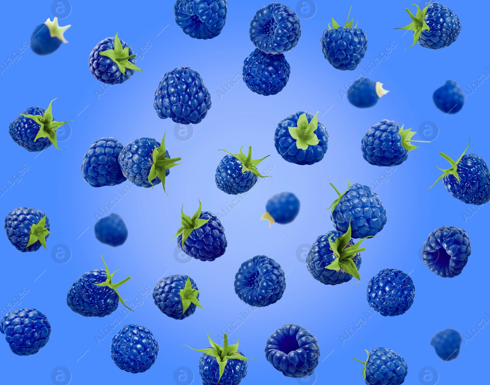 Image of Many fresh blue raspberries falling on blue background