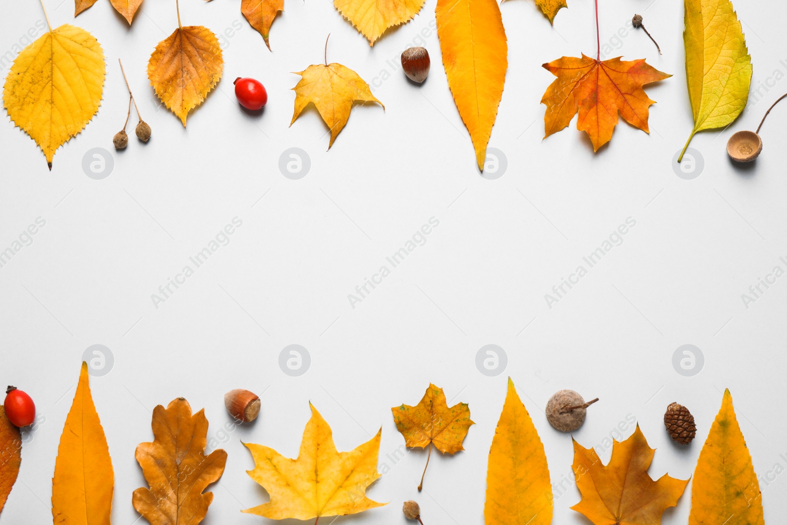 Photo of Flat lay composition with autumn leaves on white background. Space for text