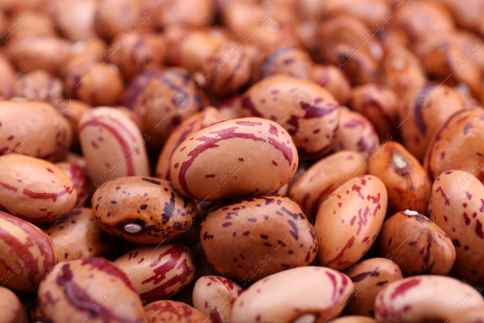 Photo of Dry kidney beans as background, closeup view