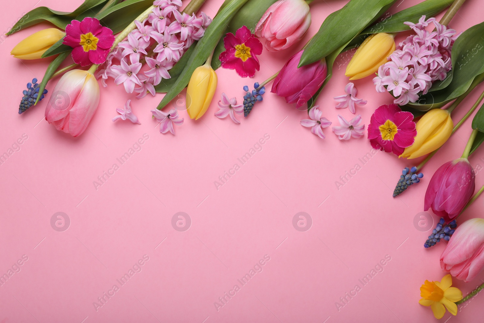 Photo of Beautiful different flowers on pink background, flat lay. Space for text