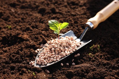 Photo of Shovel with fertilizer and seedling on soil, closeup