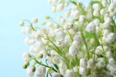 Beautiful lily of the valley flowers on light blue background, closeup