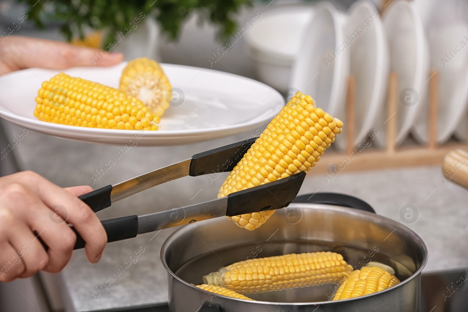 Photo of Woman putting raw corn cob into stewpot, closeup