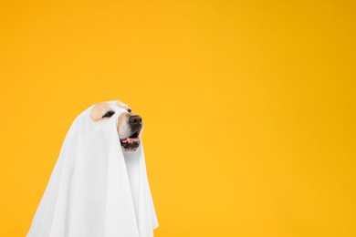 Cute Labrador Retriever dog wearing ghost costume on orange background, space for text. Halloween celebration