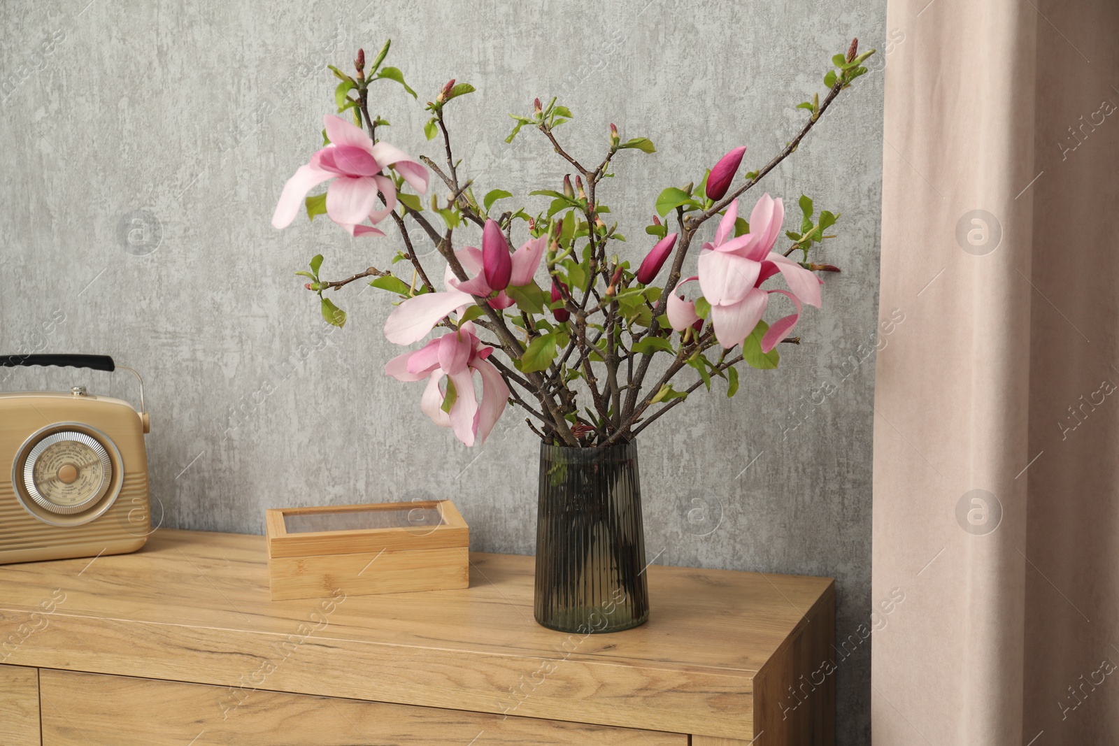 Photo of Magnolia tree branches in vase and retro radio receiver on wooden chest of drawers indoors