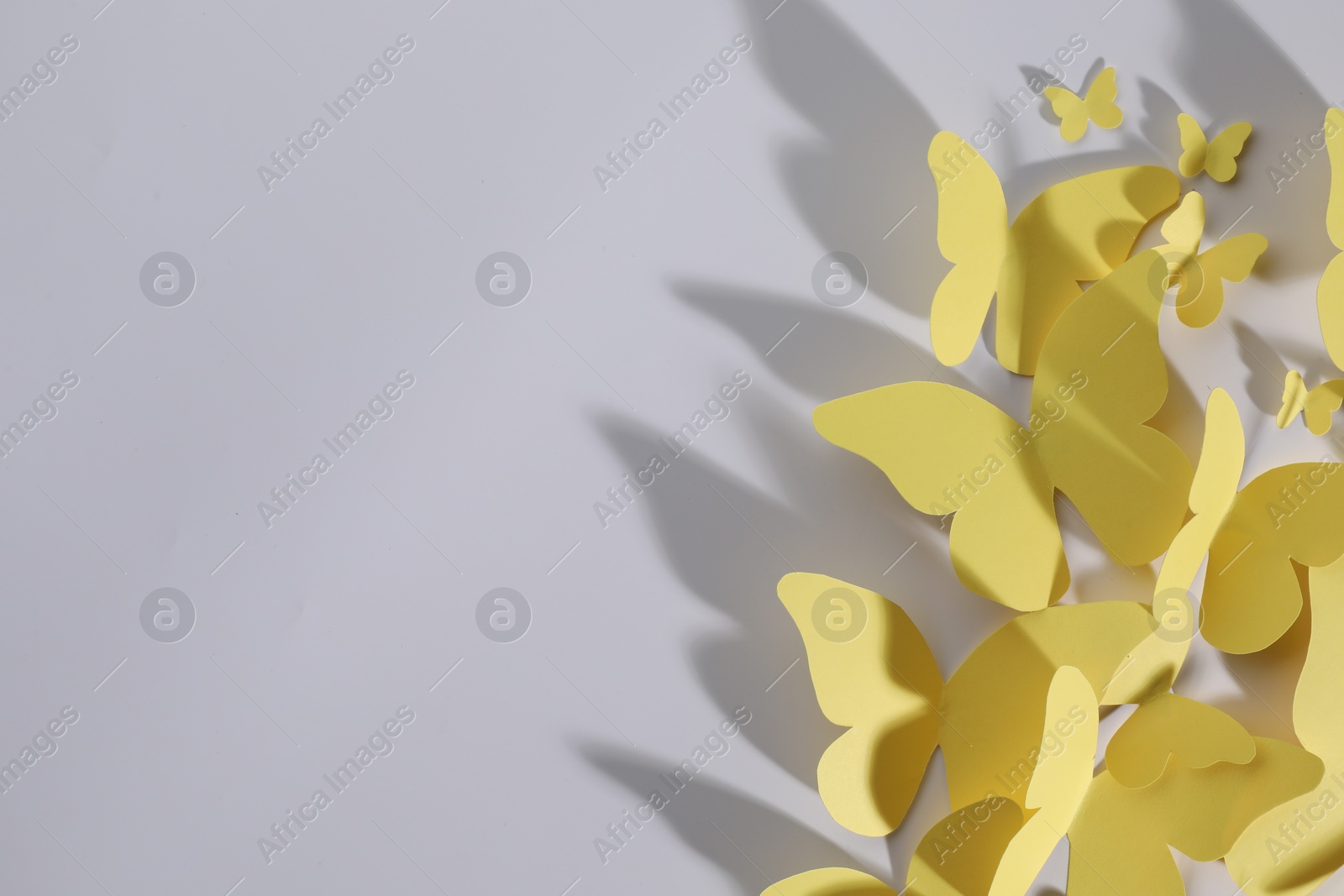 Photo of Yellow paper butterflies on white background, top view. Space for text