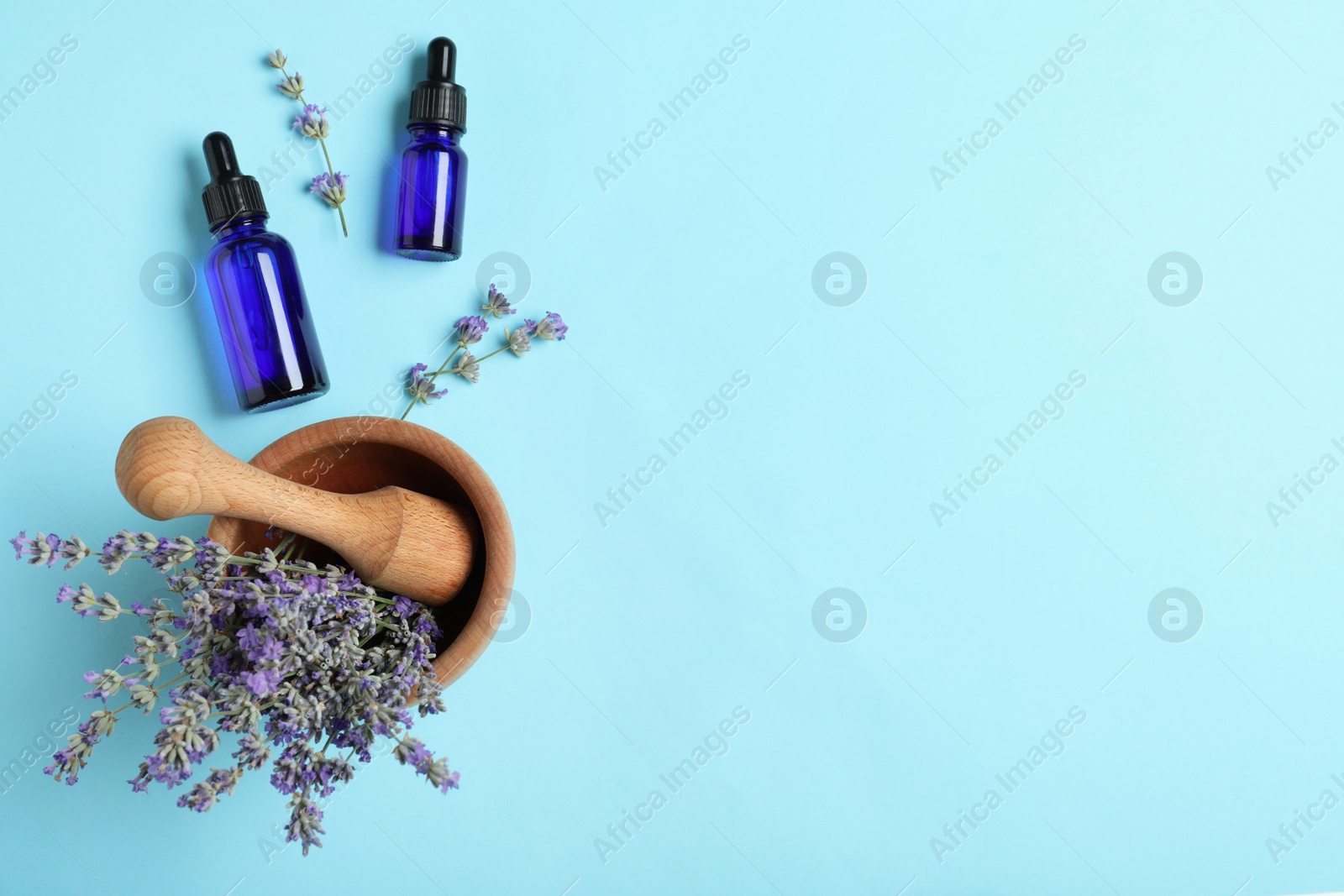 Photo of Bottles of essential oil, mortar and pestle with lavender flowers on light blue background, flat lay. Space for text