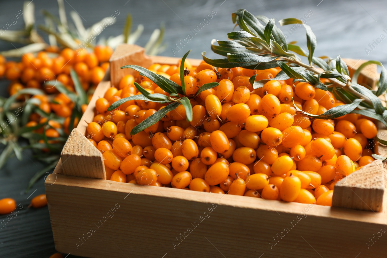 Photo of Ripe sea buckthorn berries on grey wooden table, closeup