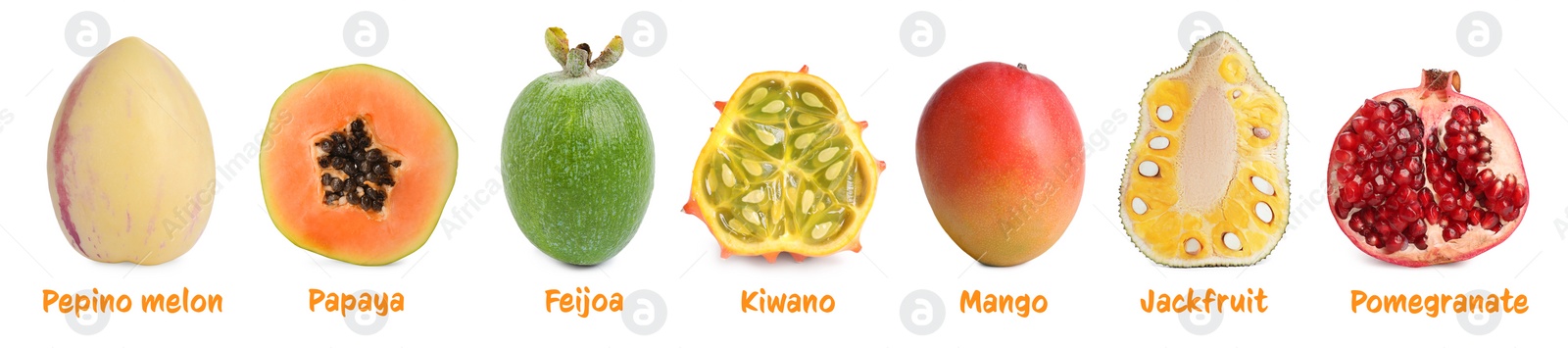 Image of Set with different tasty exotic fruits on white background. Banner design